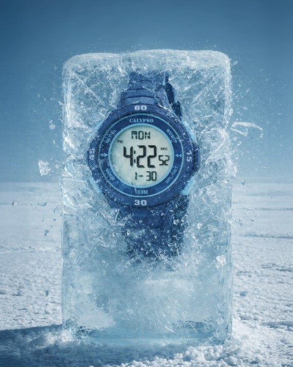 Bild von Calypso Junior