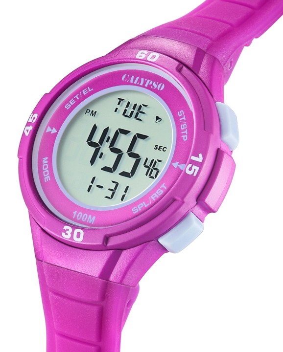 Bild von Calypso Junior