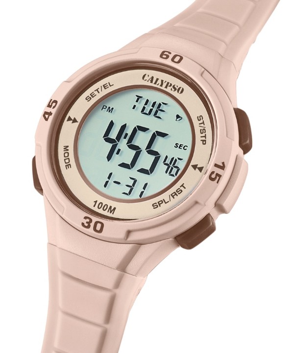 Bild von Calypso Junior