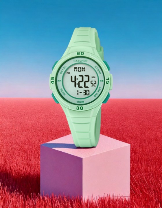 Bild von Calypso Junior