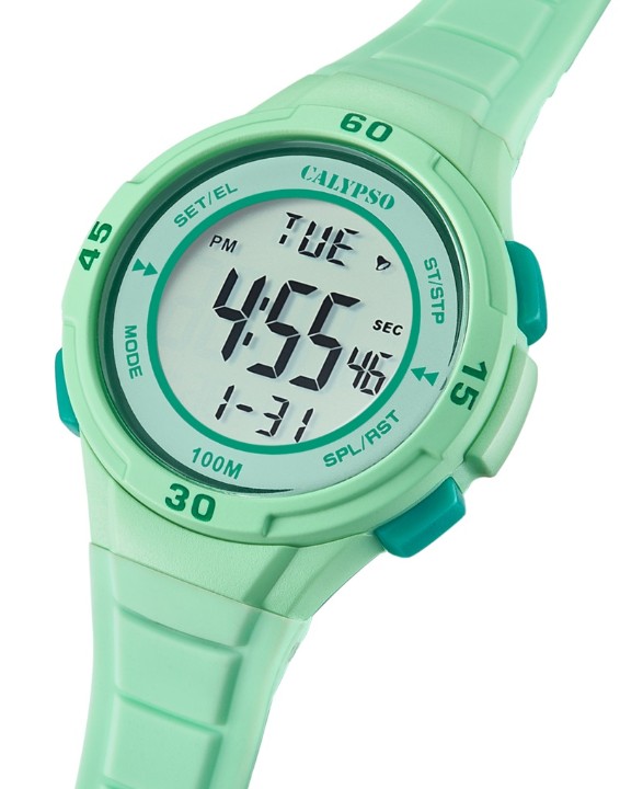 Bild von Calypso Junior