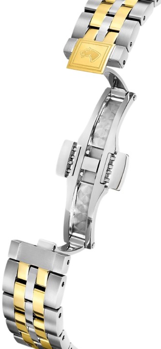 Bild von Jaguar Automatic