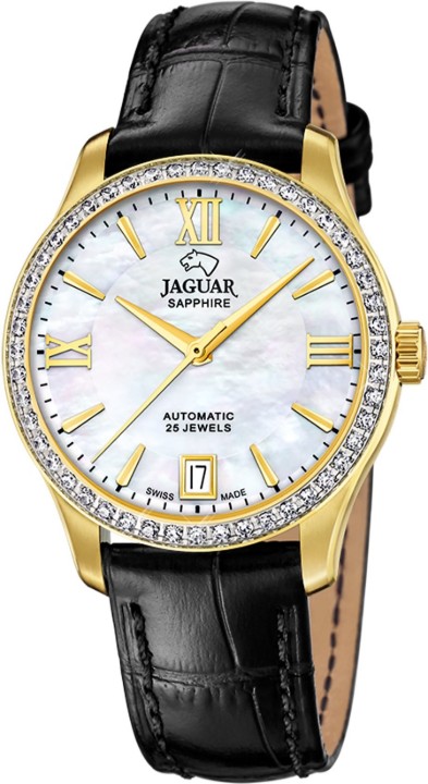 Bild von Jaguar Automatic