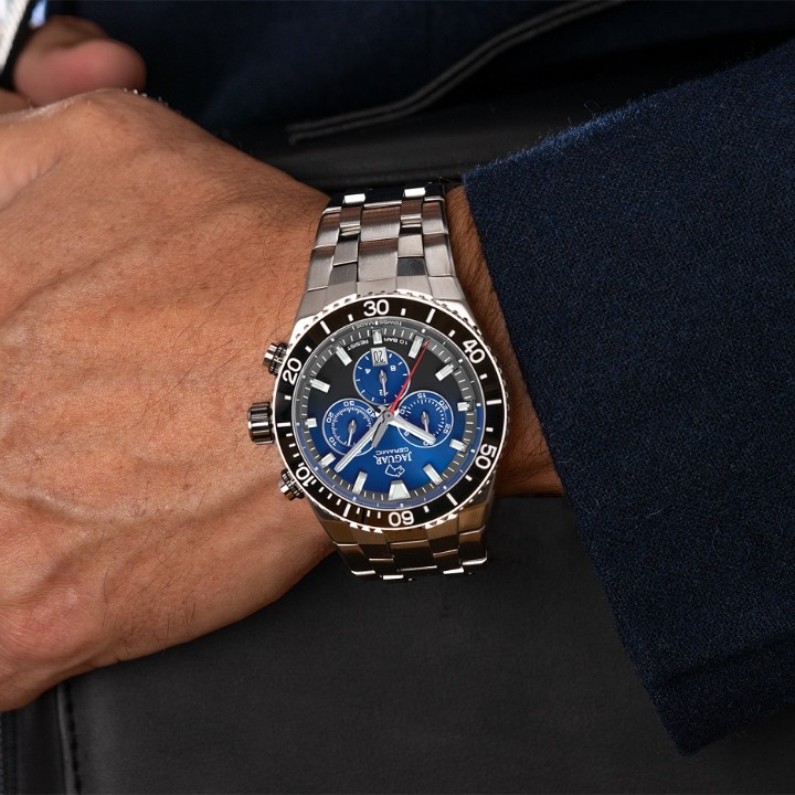 Bild von Jaguar Ceramic