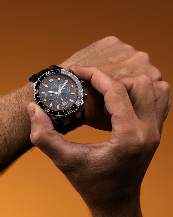 Bild von Jaguar Ceramic