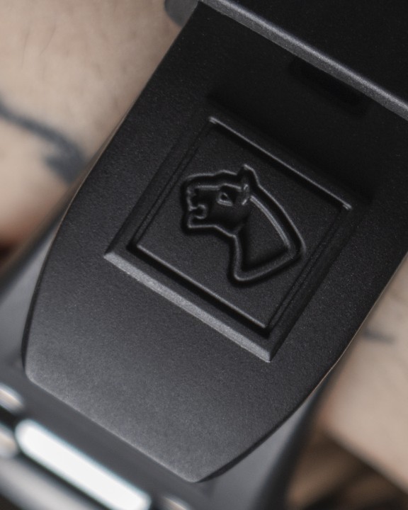 Bild von Jaguar Diplomatic