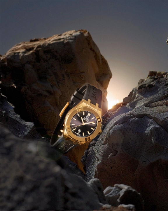 Bild von Jaguar Diplomatic