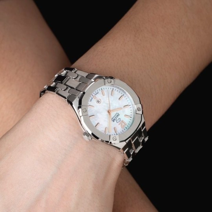 Bild von Jaguar Diplomatic