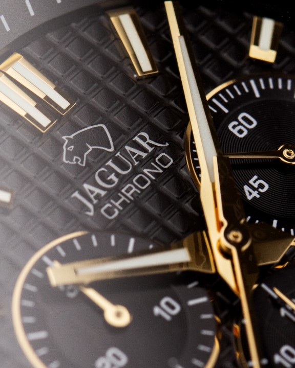 Bild von Jaguar Diplomatic