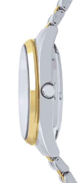 Bild von Lorus Automatic