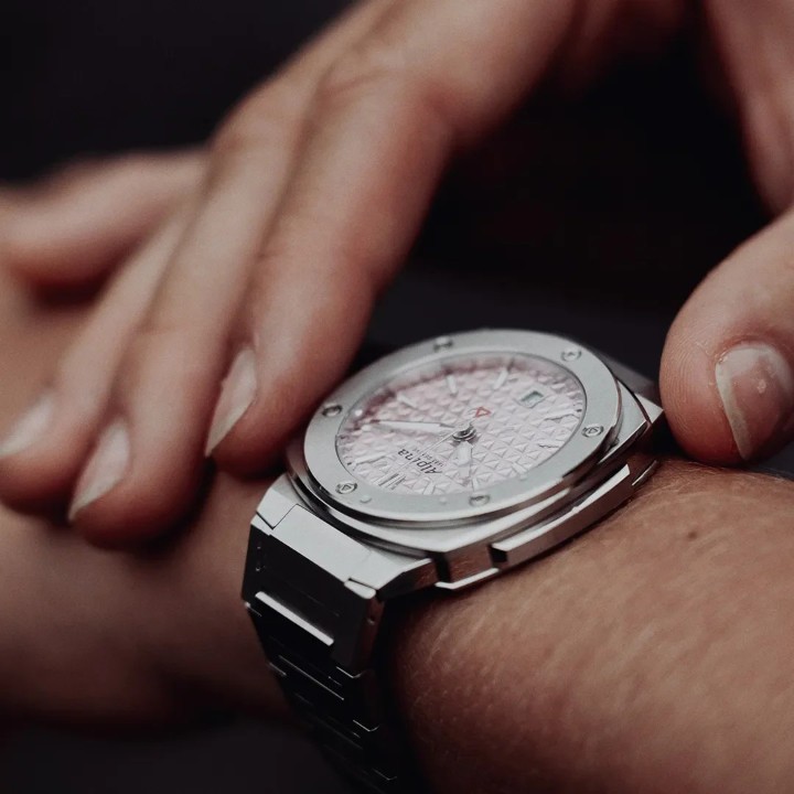 Obrázek Alpina Alpiner Extreme Quartz