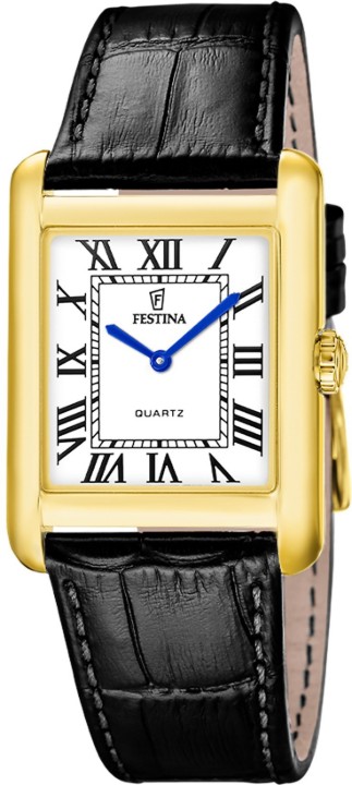 Obrázek Festina Classics