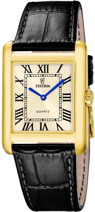 Obrázek Festina Classics