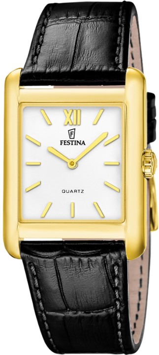 Obrázek Festina Classics