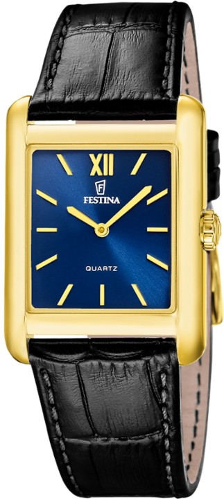 Obrázek Festina Classics