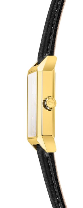 Bild von Festina Classics