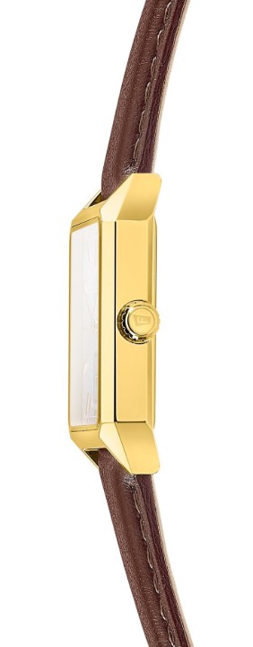Obrázek Festina Classics