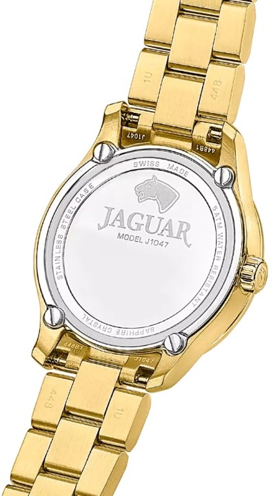 Obrázek Jaguar Acamar