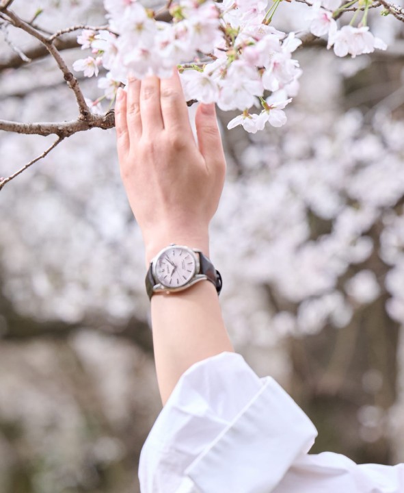 Obrázek Seiko Presage Classic