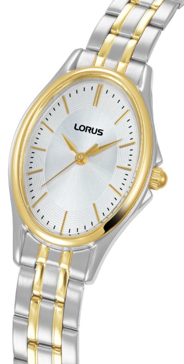 Bild von Lorus