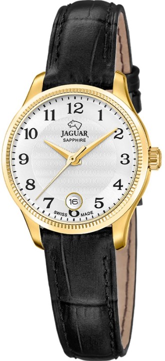 Obrázek Jaguar Acamar