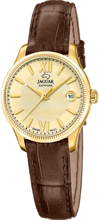 Obrázek Jaguar Acamar