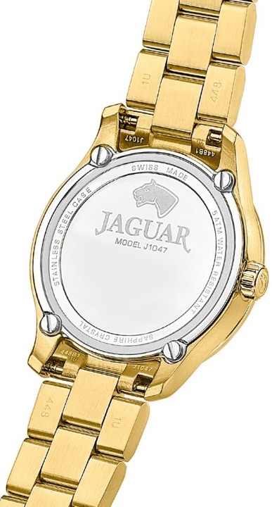 Obrázek Jaguar Acamar