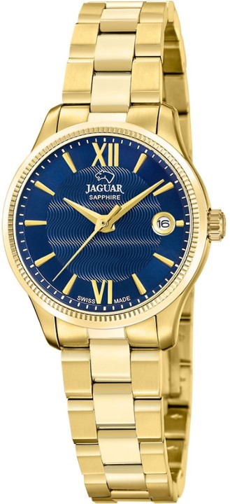 Obrázek Jaguar Acamar