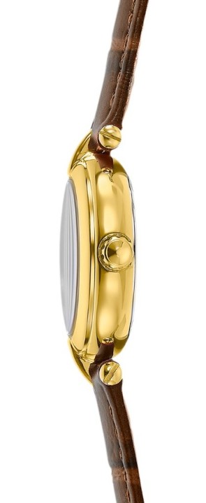 Bild von Festina Mademoiselle