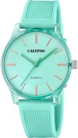 Obrázek Calypso Trendy