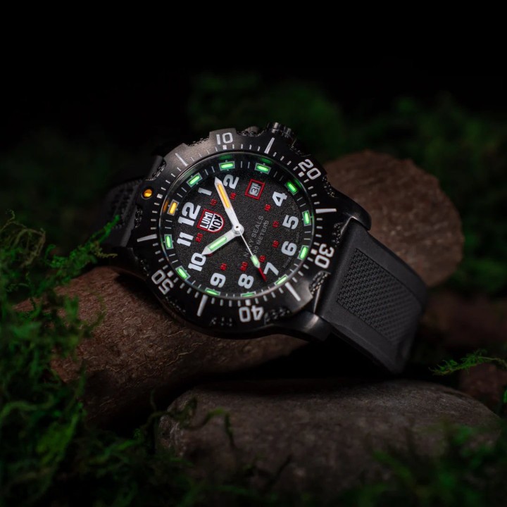 Obrázek Luminox Navy SEAL 4230 Series