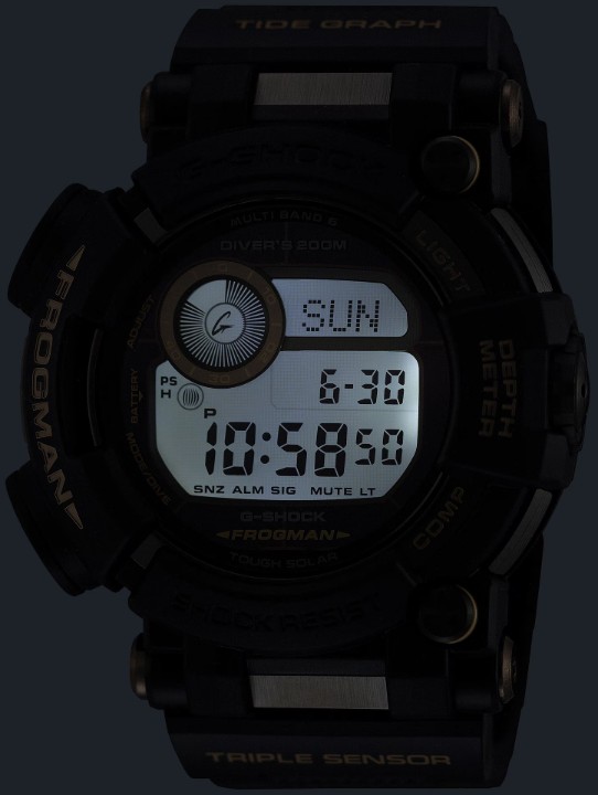 Obrázek Casio G-Shock Frogman