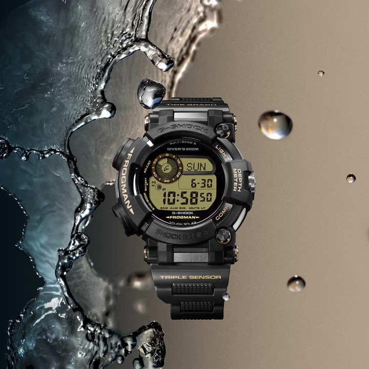 Obrázek Casio G-Shock Frogman