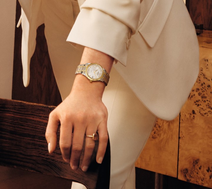 Obrázek Longines Master Collection