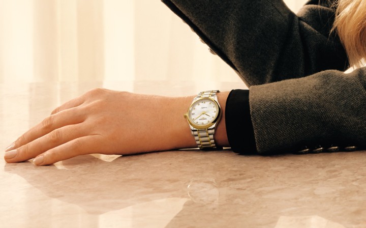 Obrázek Longines Master Collection